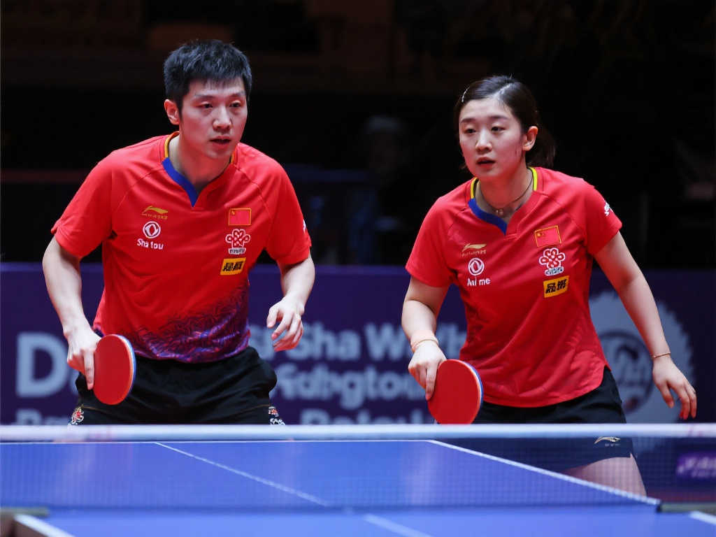 球迷们的热 球迷们的热